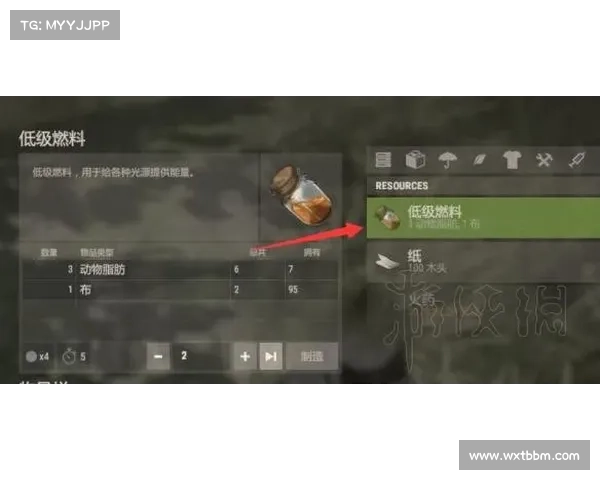 圣枪游侠成长全解析从基础到精通的技能与策略路径 圣枪游侠成长全解析从基础到精通的技能与策略路径