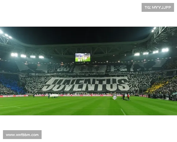 意甲球队难以拥有自有球场的原因分析及背后经济与文化因素探讨