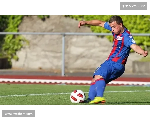 探析波尔蒂足球俱乐部多样称谓与历史文化演变脉络综合研究全景探讨