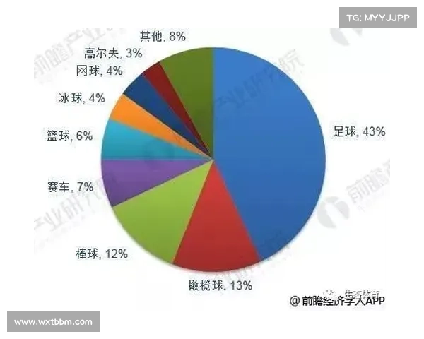 揭秘足球运动员年薪为何如此之高背后的经济市场运作因素分析