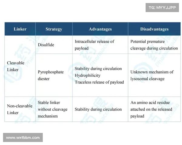 欧协杯决赛赛制解读及关键规则全景深度盘点与观赛策略指南全面汇