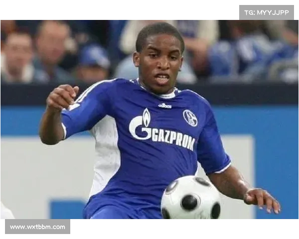 法尔范在沙尔克04的踢球位置分析及其表现受多重因素的影响