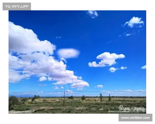 天赋榜眼的成长之路如何跨越挑战与磨砺走向巅峰