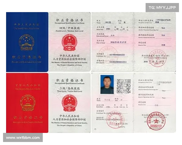 如何从技术能力、心态素质和成长空间评估年轻球员的职业发展潜力