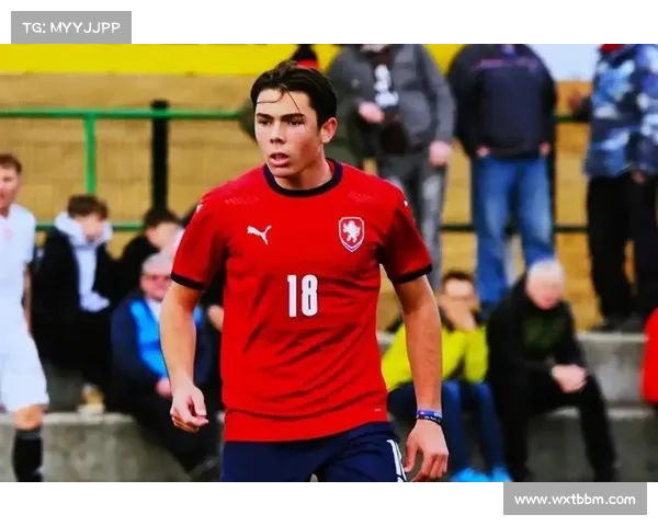 捷克传奇门将姓名背后的历史传承与家族秘密揭秘